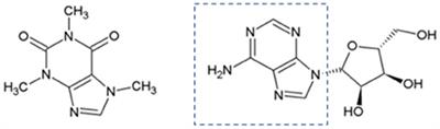 Can coffee silverskin be a useful tool to fight metabolic syndrome?